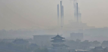 为什么说应该到中国学习环境政策？