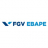 FGV EBAPE - Brazilian School of Public and Business Administration - Rio de Janeiro Logo