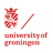 University of Groningen Logo
