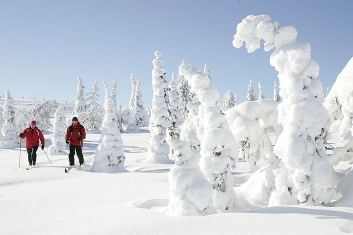 Skiing in Finland
