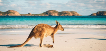 Top Young Universities in Australia main image