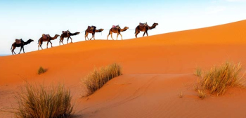 温暖的留学目的地:摩洛哥