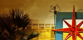 Study in Nevada main image